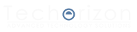 Techorizon logo