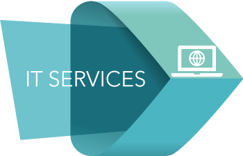 IT-services-icon-in-page